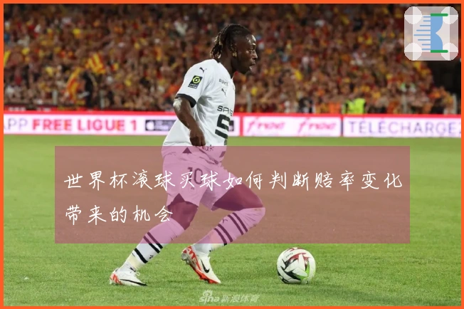 世界杯滚球买球如何判断赔率变化带来的机会