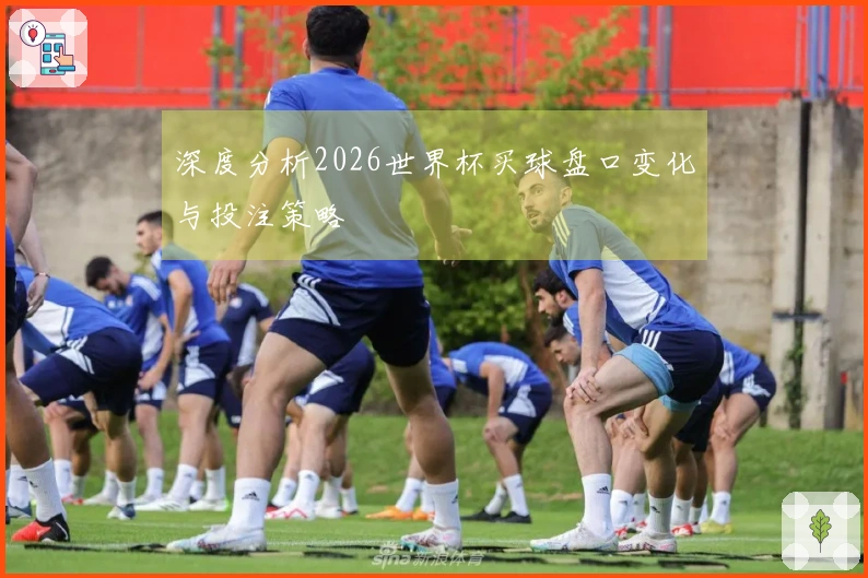 深度分析2026世界杯买球盘口变化与投注策略