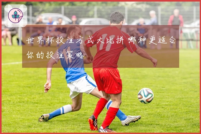 世界杯投注方式大比拼 哪种更适合你的投注策略