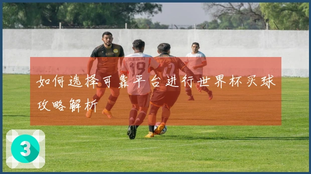 如何选择可靠平台进行世界杯买球攻略解析