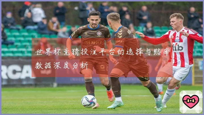 世界杯竞猜投注平台的选择与赔率数据深度分析