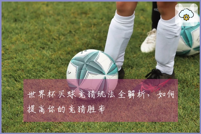 世界杯买球竞猜玩法全解析，如何提高你的竞猜胜率