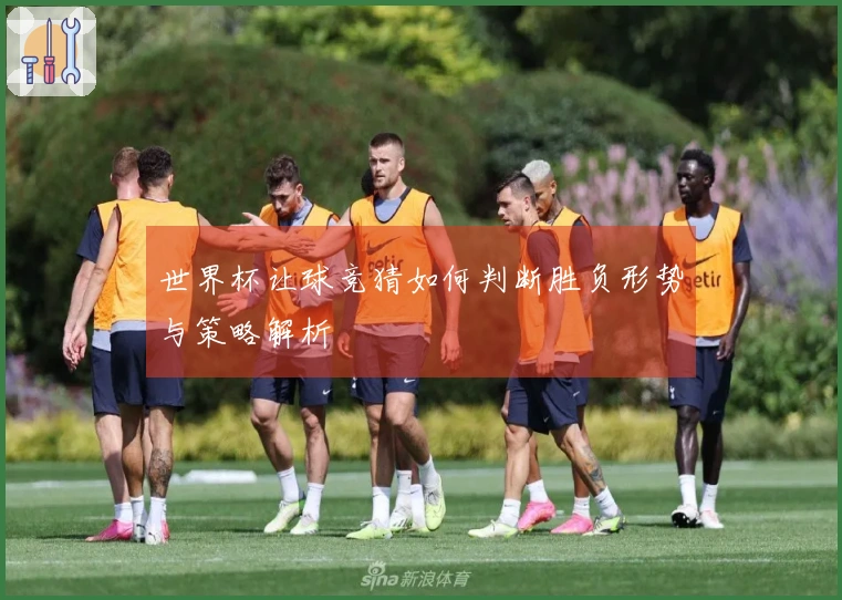 世界杯让球竞猜如何判断胜负形势与策略解析