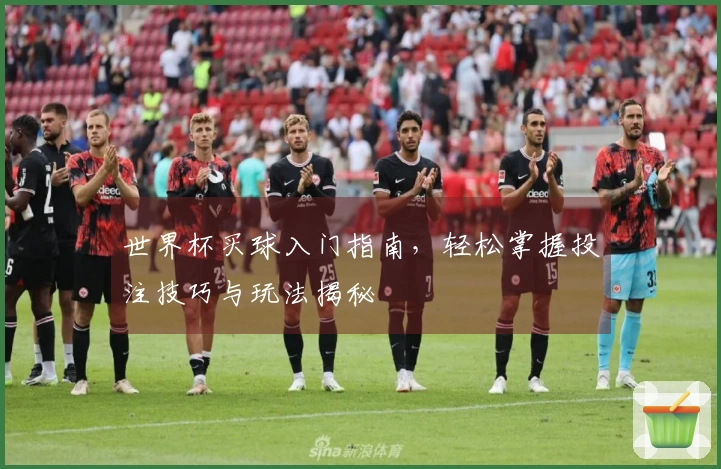 世界杯买球入门指南，轻松掌握投注技巧与玩法揭秘