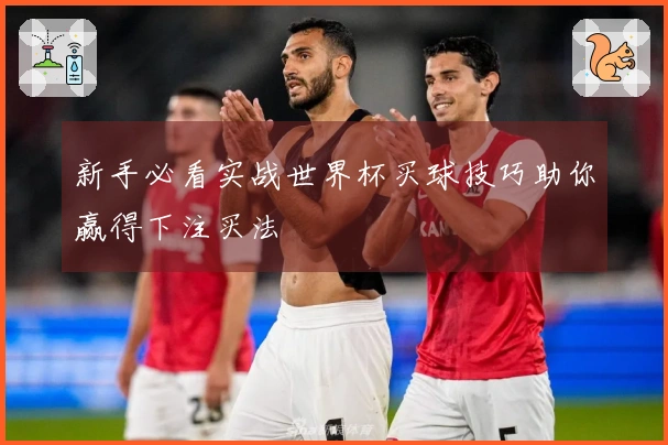 新手必看实战世界杯买球技巧助你赢得下注买法