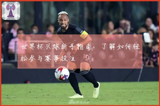 世界杯买球新手指南，了解如何轻松参与赛事投注