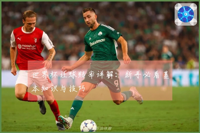 世界杯让球赔率详解：新手必看基本知识与技巧