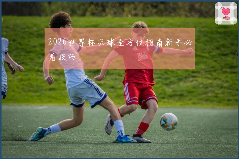 2026世界杯买球全方位指南新手必看技巧