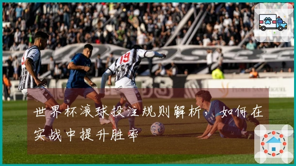 世界杯滚球投注规则解析，如何在实战中提升胜率