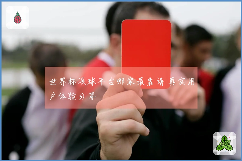 世界杯滚球平台哪家最靠谱 真实用户体验分享