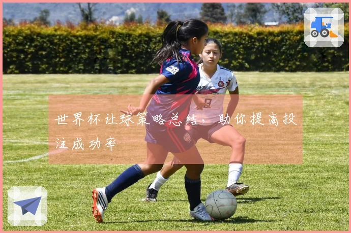 世界杯让球策略总结，助你提高投注成功率