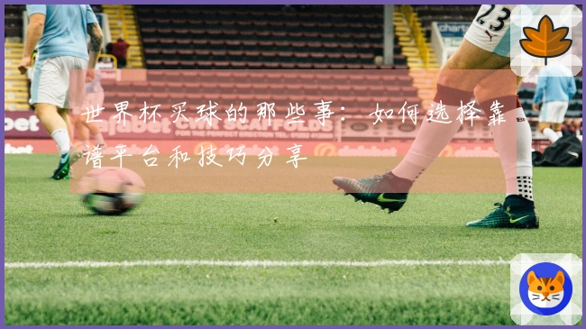 世界杯买球的那些事：如何选择靠谱平台和技巧分享