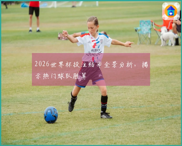 2026世界杯投注赔率全景分析，揭示热门球队胜算