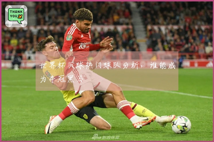 世界杯买球热门球队分析，谁能成为夺冠黑马
