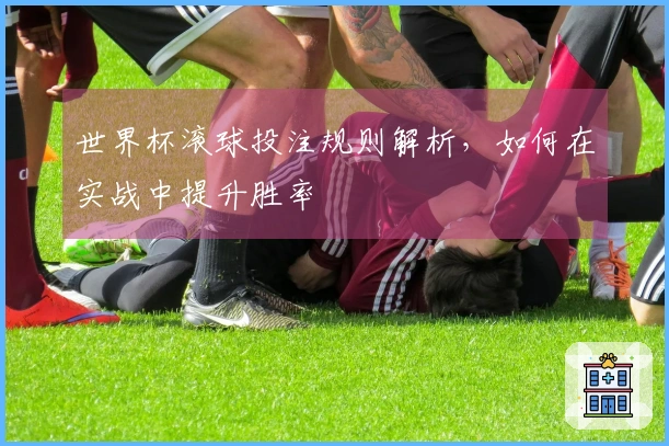 世界杯滚球投注规则解析，如何在实战中提升胜率