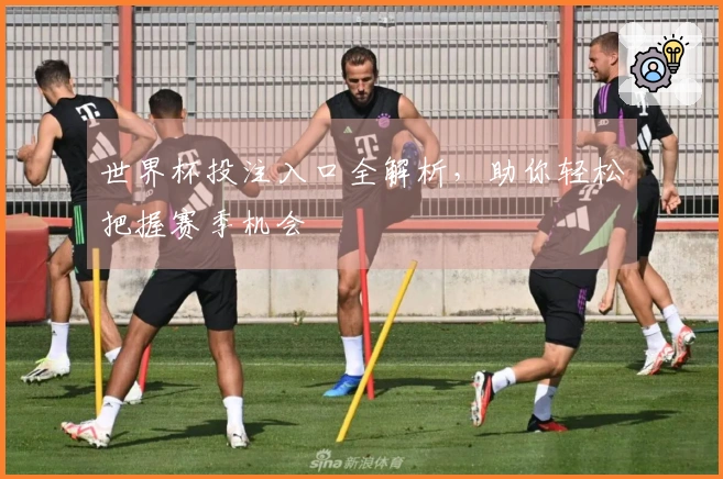 世界杯投注入口全解析，助你轻松把握赛季机会