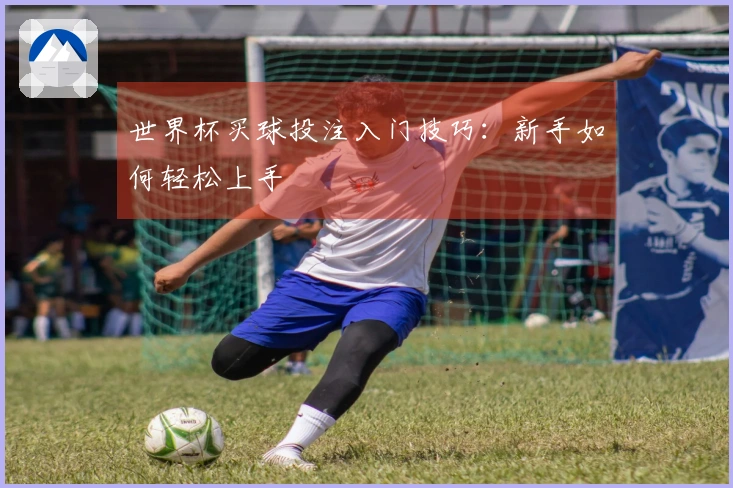 世界杯买球投注入门技巧：新手如何轻松上手