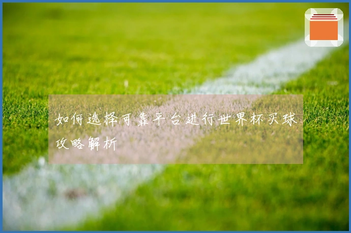 如何选择可靠平台进行世界杯买球攻略解析