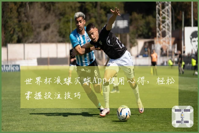 世界杯滚球买球App使用心得，轻松掌握投注技巧
