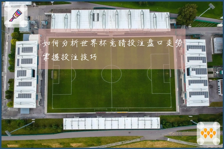 如何分析世界杯竞猜投注盘口走势掌握投注技巧