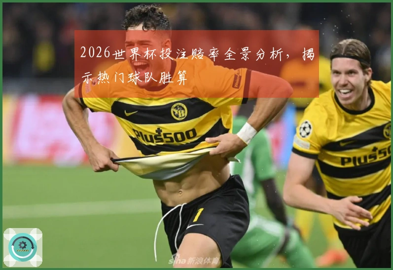 2026世界杯投注赔率全景分析，揭示热门球队胜算