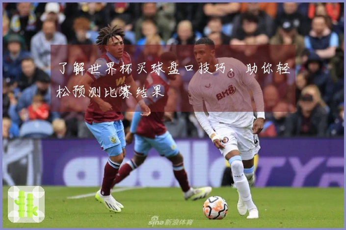 了解世界杯买球盘口技巧，助你轻松预测比赛结果